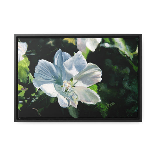 Stretched Canvas Wrap in Wood Frame, White Rose of Sharon by Jane Autry