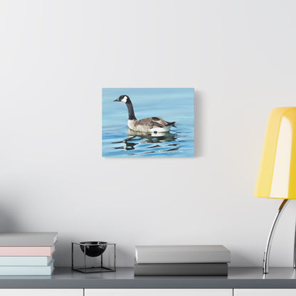Canvas Gallery Wrap, Canada Goose on Stansbury Lake , by  Rod Walgamott