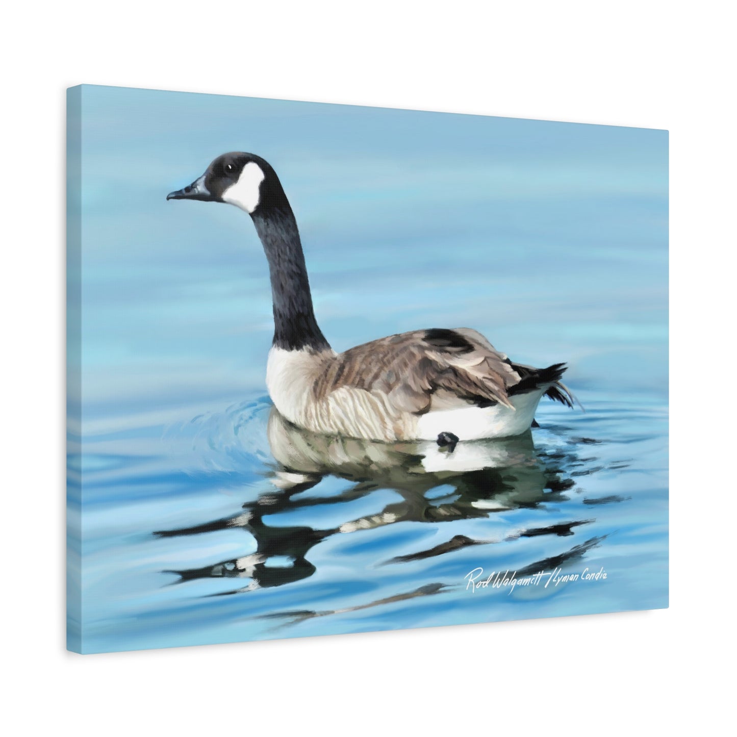 Canvas Gallery Wrap, Canada Goose on Stansbury Lake , by  Rod Walgamott