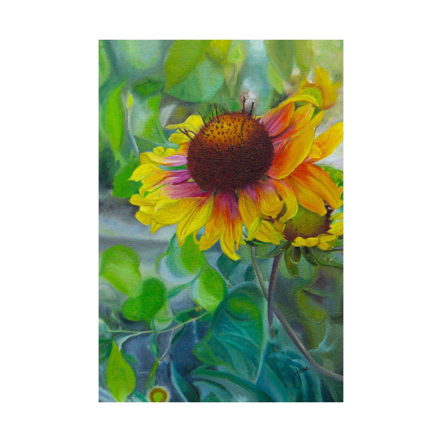 Indian Blanket Flower by Jane Autry, Premium Matte Paper Print