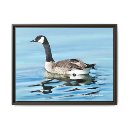 Canada Goose- Framed Matte Canvas Print