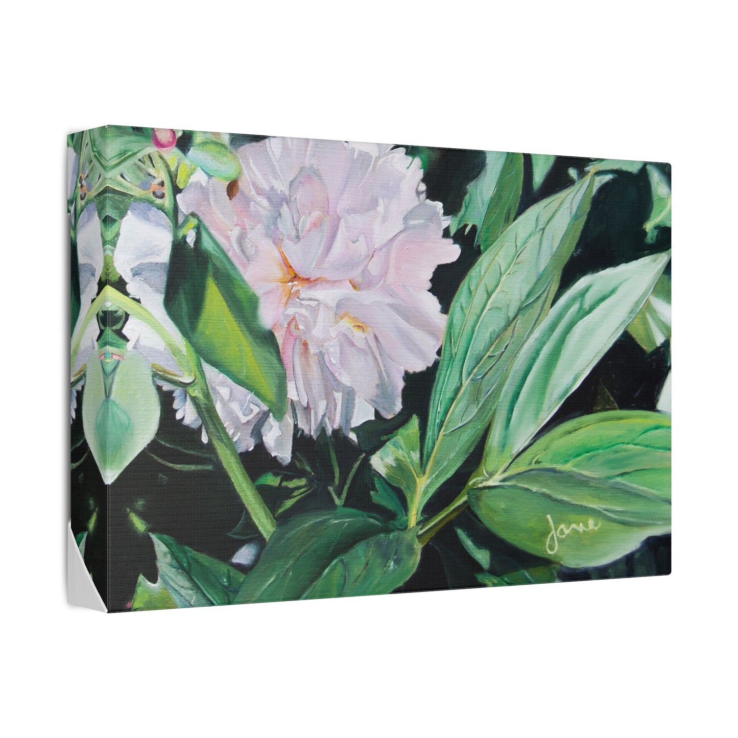 Classic Stretched Canvas, Shy Peone by Jane Autry