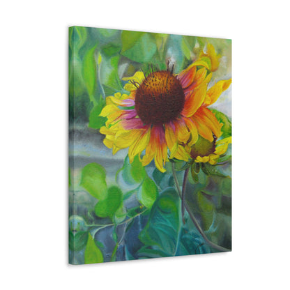 Indian Blanket Flower by Jane Autry, Canvas Gallery Wrap