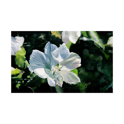 White Rose of Sharon, by Jane Autry--Premium Matte Print