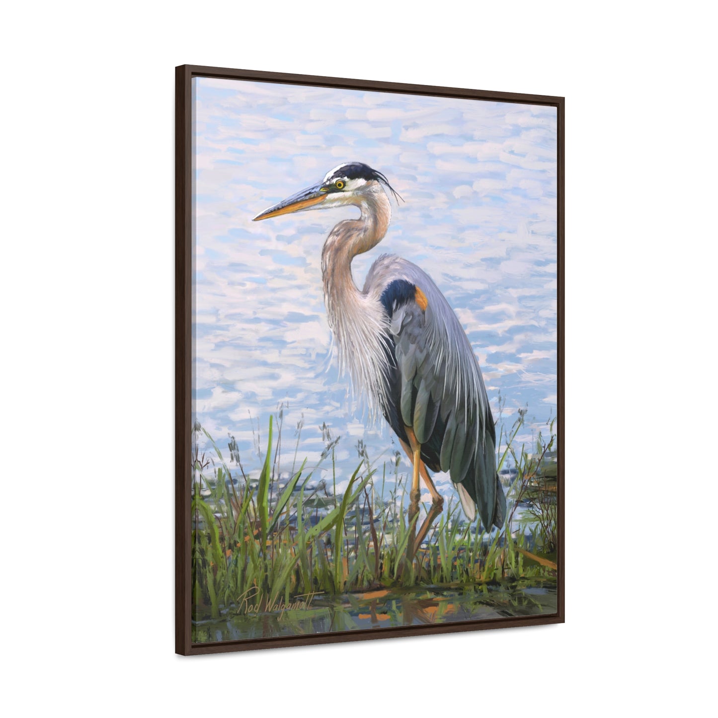 Framed canvas Wrap, Blue Heron at Stansbury Lake, by Rod Walgamott