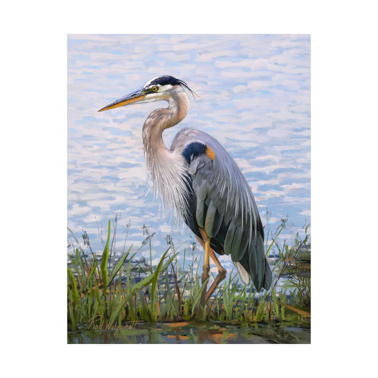 Premium Matte Print, Blue Heron at Stansbury Lake, by Rod Walgamott