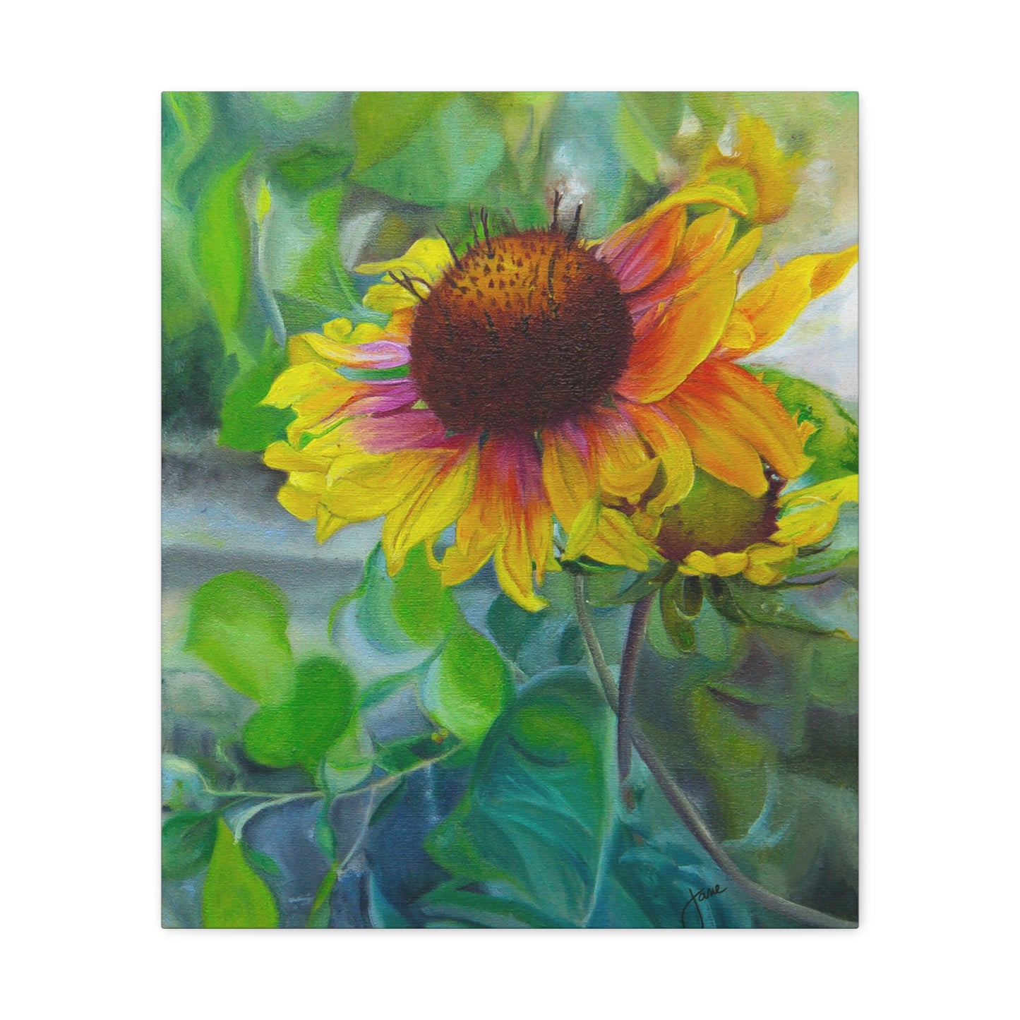 Indian Blanket Flower by Jane Autry, Canvas Gallery Wrap