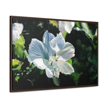 Stretched Canvas Wrap in Wood Frame, White Rose of Sharon by Jane Autry