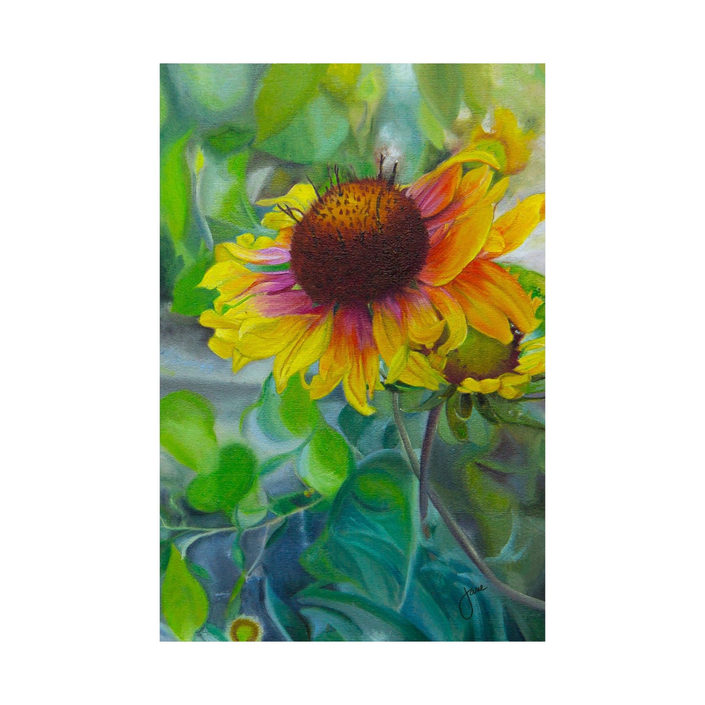 Indian Blanket Flower by Jane Autry, Premium Matte Paper Print