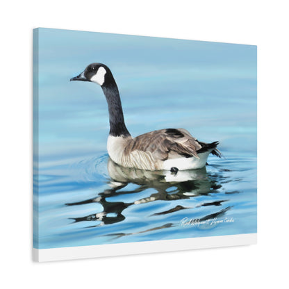 Canvas Gallery Wrap, Canada Goose on Stansbury Lake , by  Rod Walgamott