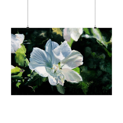 White Rose of Sharon, by Jane Autry--Premium Matte Print
