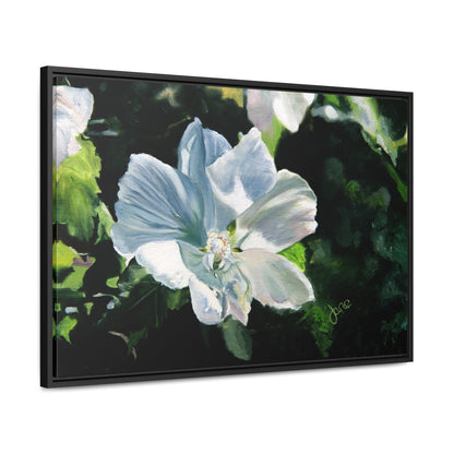 Stretched Canvas Wrap in Wood Frame, White Rose of Sharon by Jane Autry