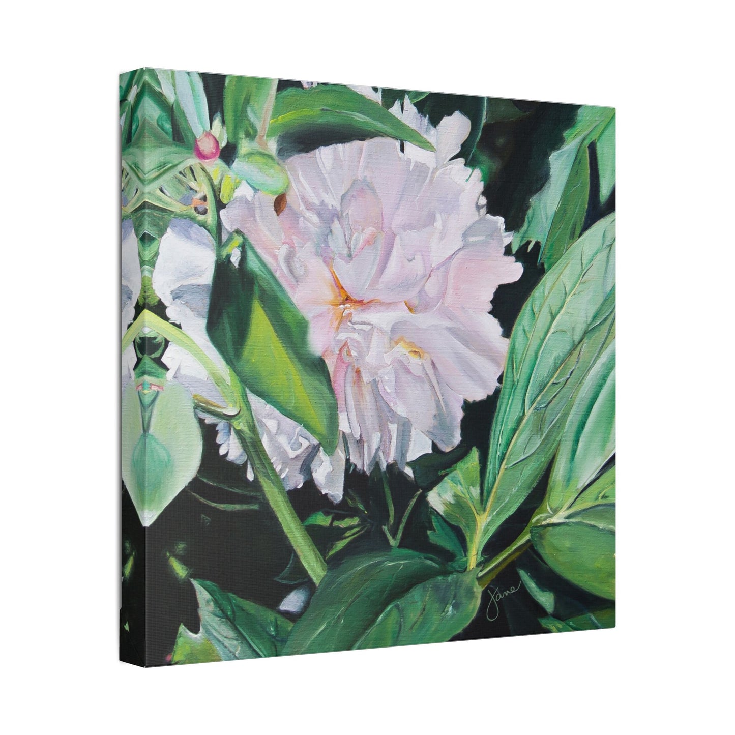 Classic Stretched Canvas, Shy Peone by Jane Autry