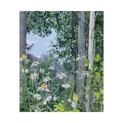 Quakies and Daisies by Jane Autry, Premium Matte Paper Print