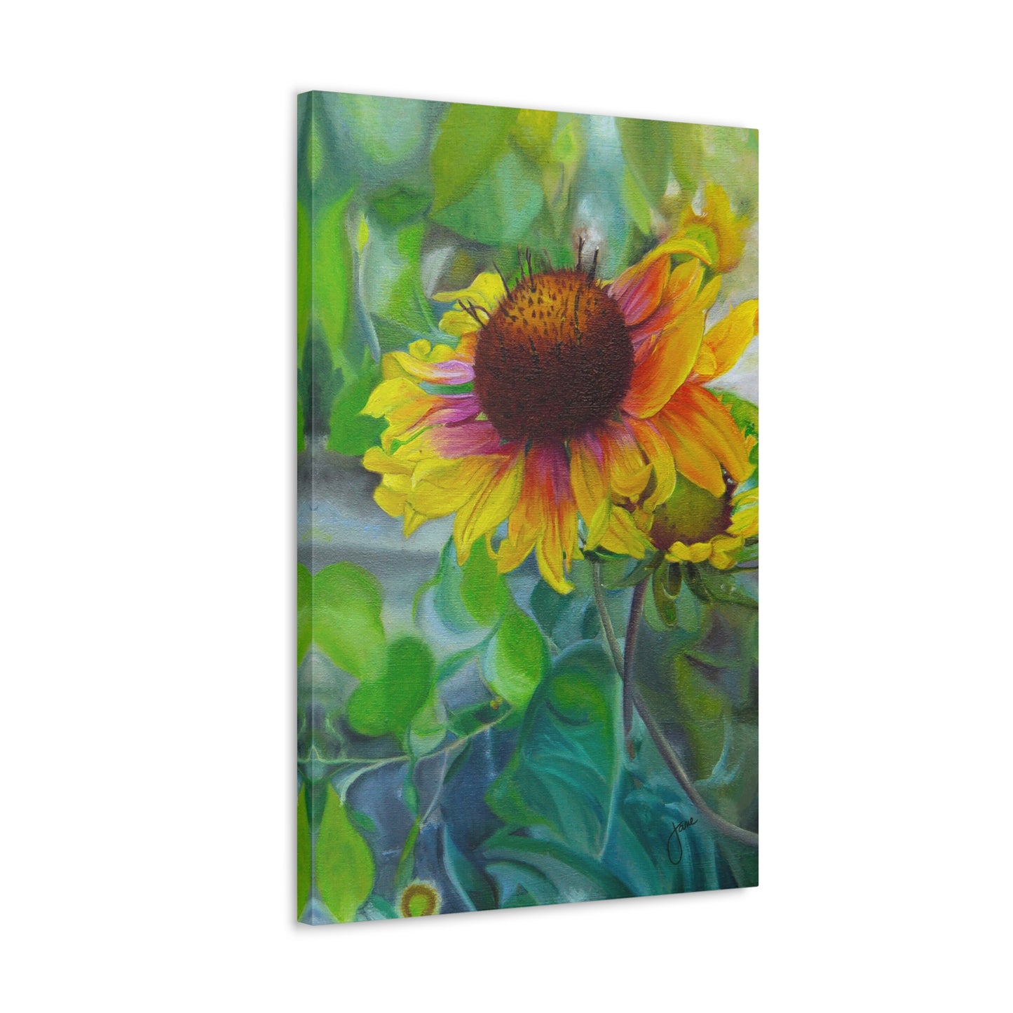 Indian Blanket Flower by Jane Autry, Canvas Gallery Wrap
