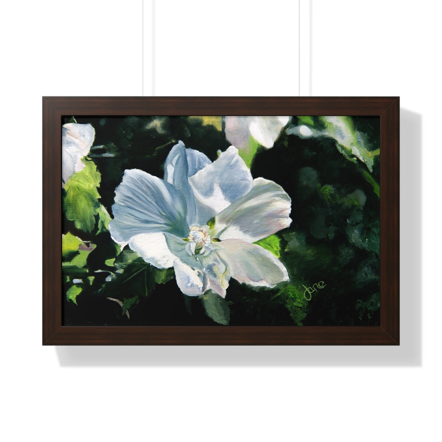 Premium Matte Print--Framed, White Rose of Sharon by Jane Autry