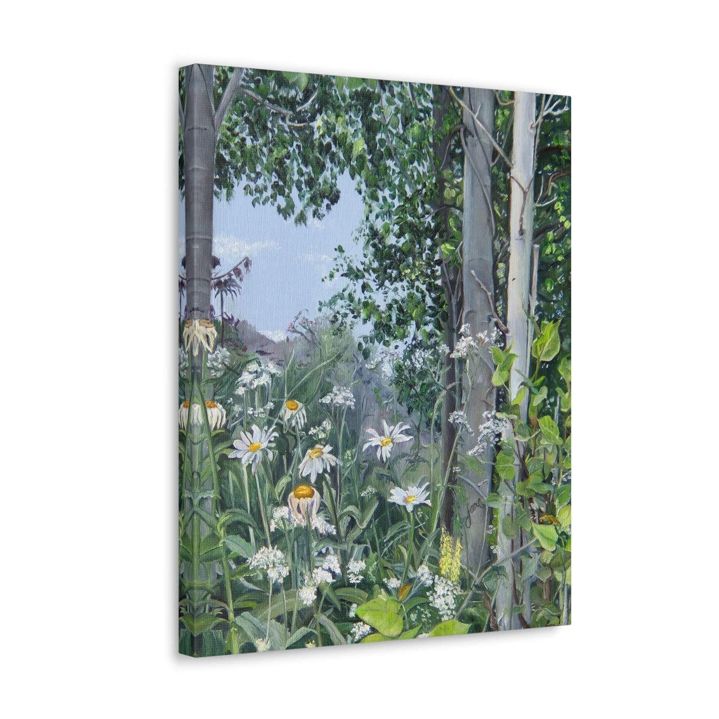 Quakies and Daisies by Jane Autry, Canvas Gallery Wrap