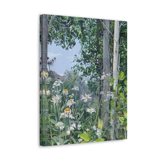Quakies and Daisies by Jane Autry, Canvas Gallery Wrap