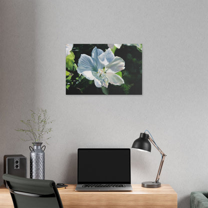 Classic Stretched Canvas, White Rose of Sharon by Jane Autry