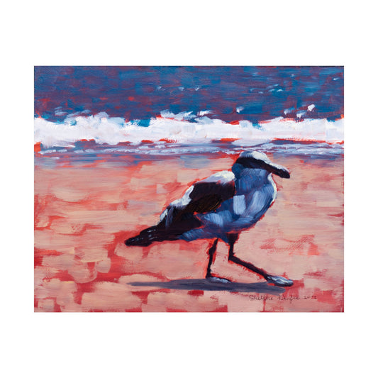 Premium Matte Print, Seagull, by Shellece Durfee