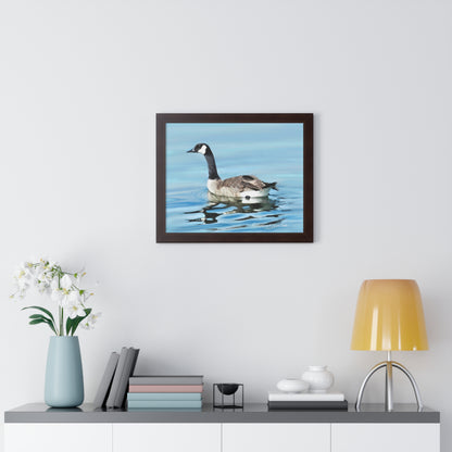 Framed Matte Print, Canada Goose on Stansbury Lake, by Rod  Walgamott