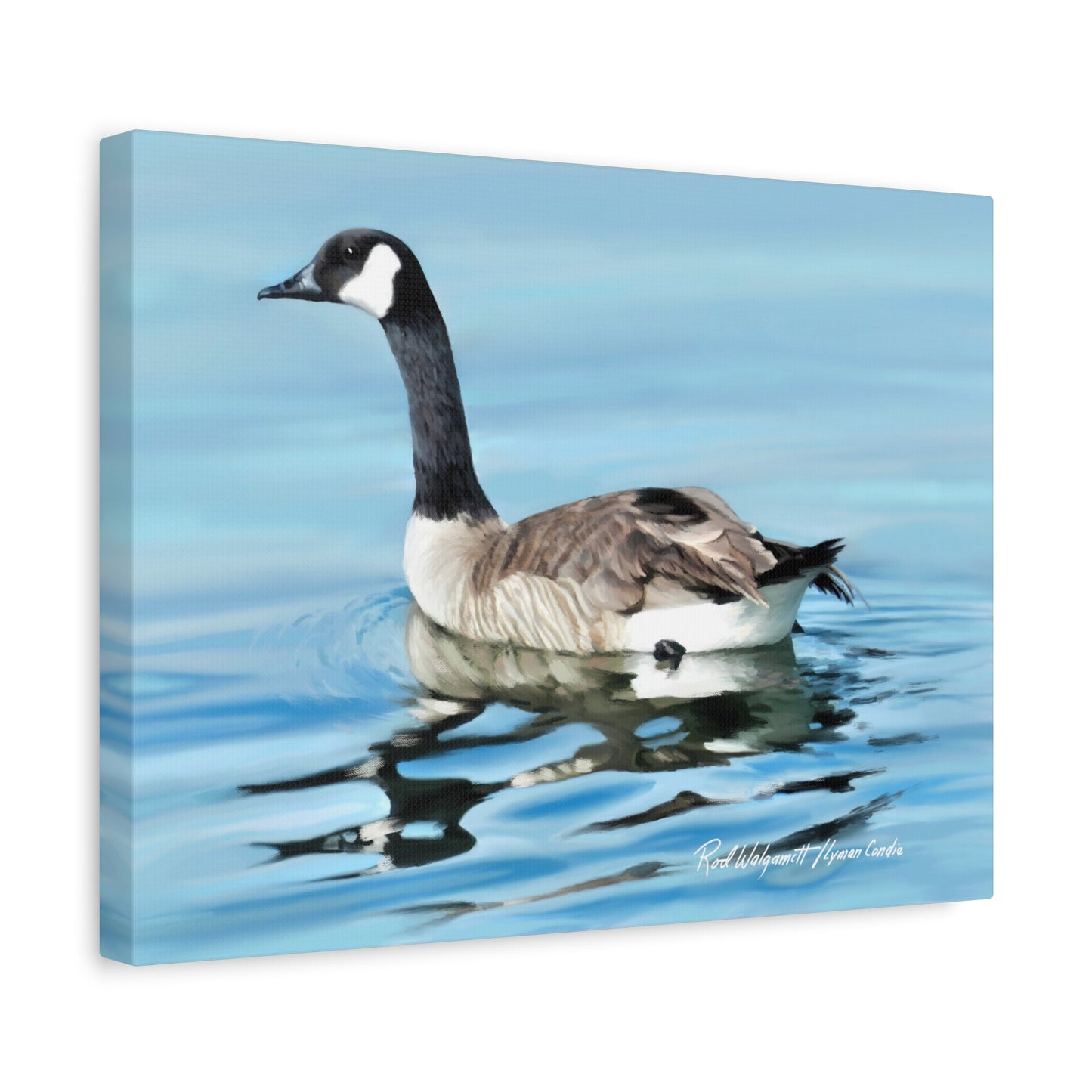 Canvas Gallery Wrap, Canada Goose on Stansbury Lake , by  Rod Walgamott