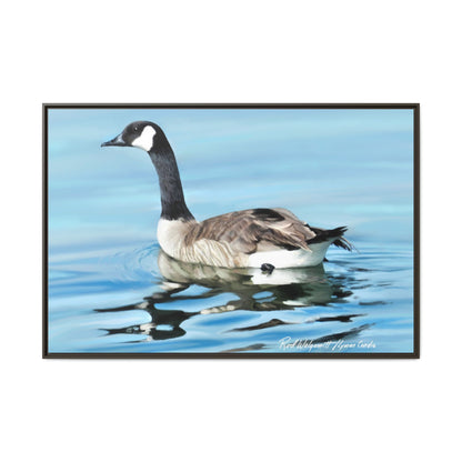 Canada Goose- Framed Matte Canvas Print
