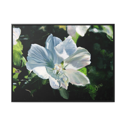 Stretched Canvas Wrap in Wood Frame, White Rose of Sharon by Jane Autry