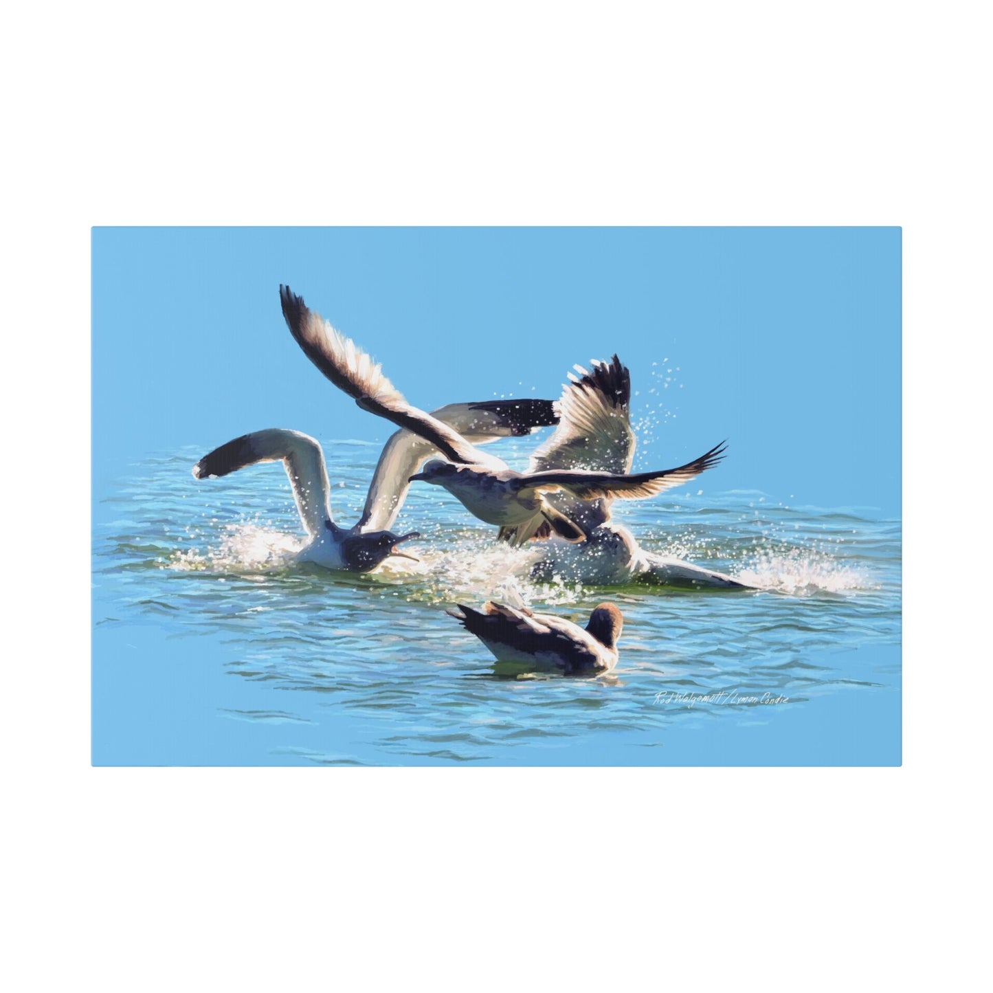 Classic Stretched Canvas, Gull Fight on Stansbury Lake, by Rod Walgamott