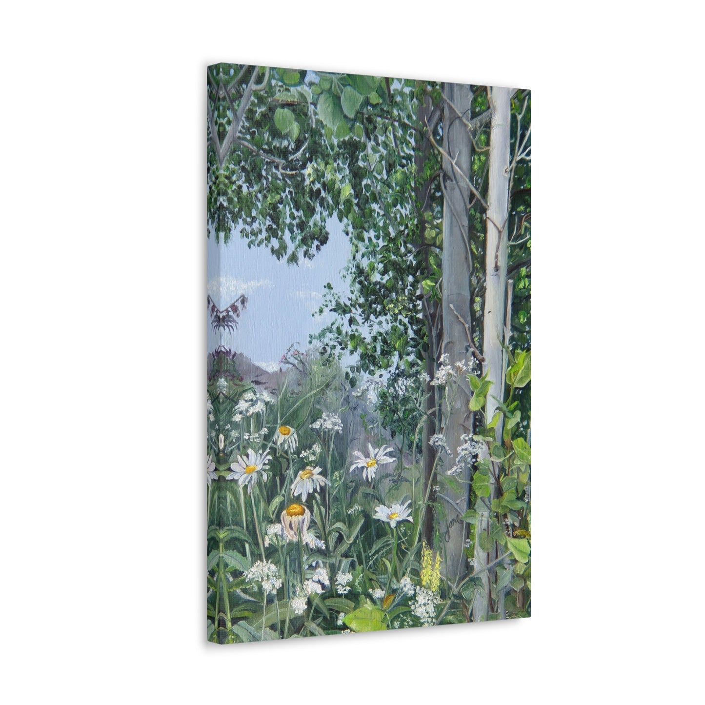 Quakies and Daisies by Jane Autry, Canvas Gallery Wrap