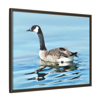 Canada Goose- Framed Matte Canvas Print