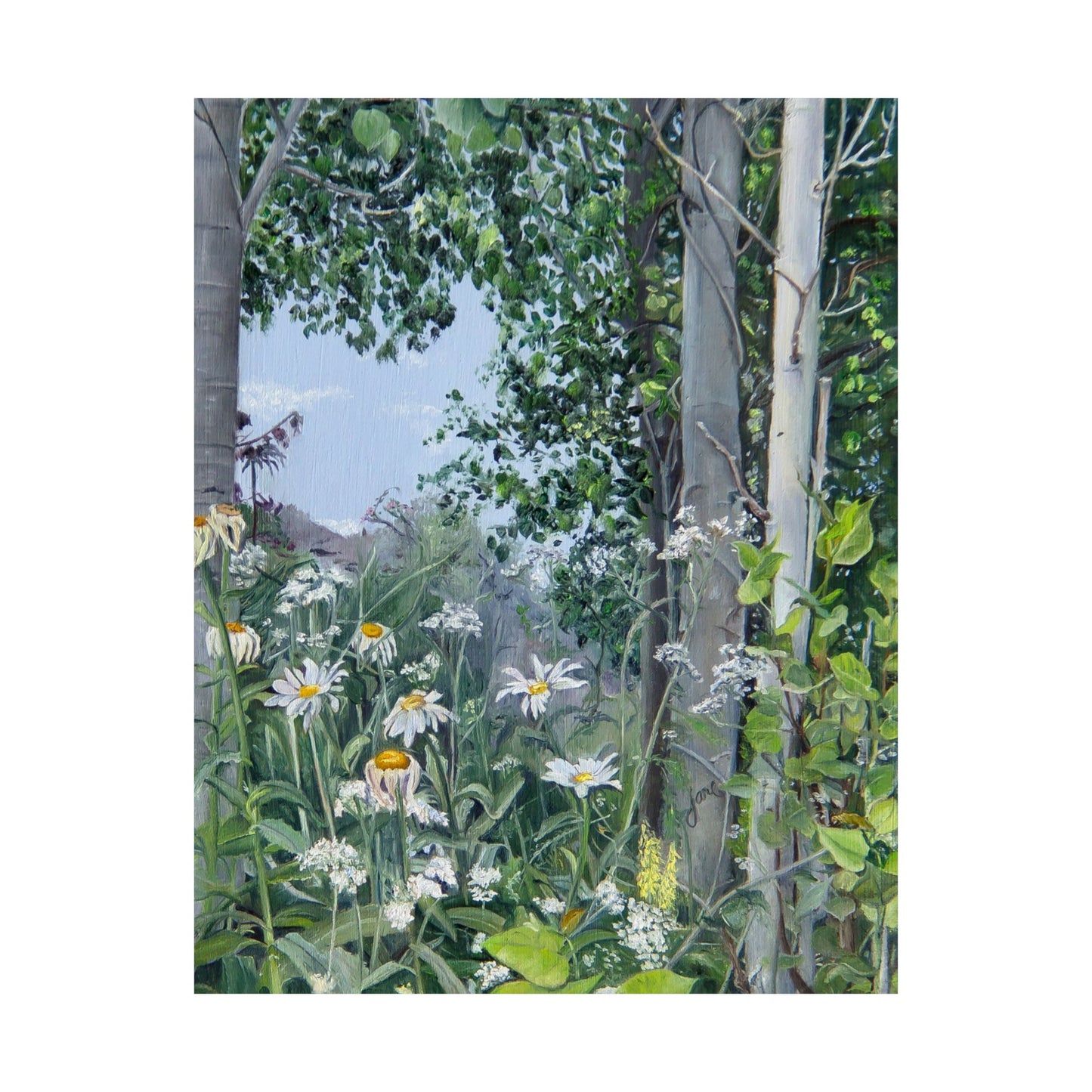 Quakies and Daisies by Jane Autry, Premium Matte Paper Print