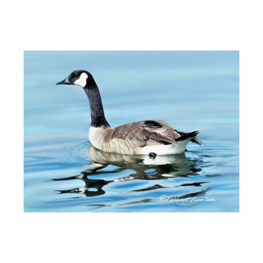 Premium Matte Print, Canada Goose on Stansbury Lake, by Rod Walgamott (Reference Photo by Lyman Condie)