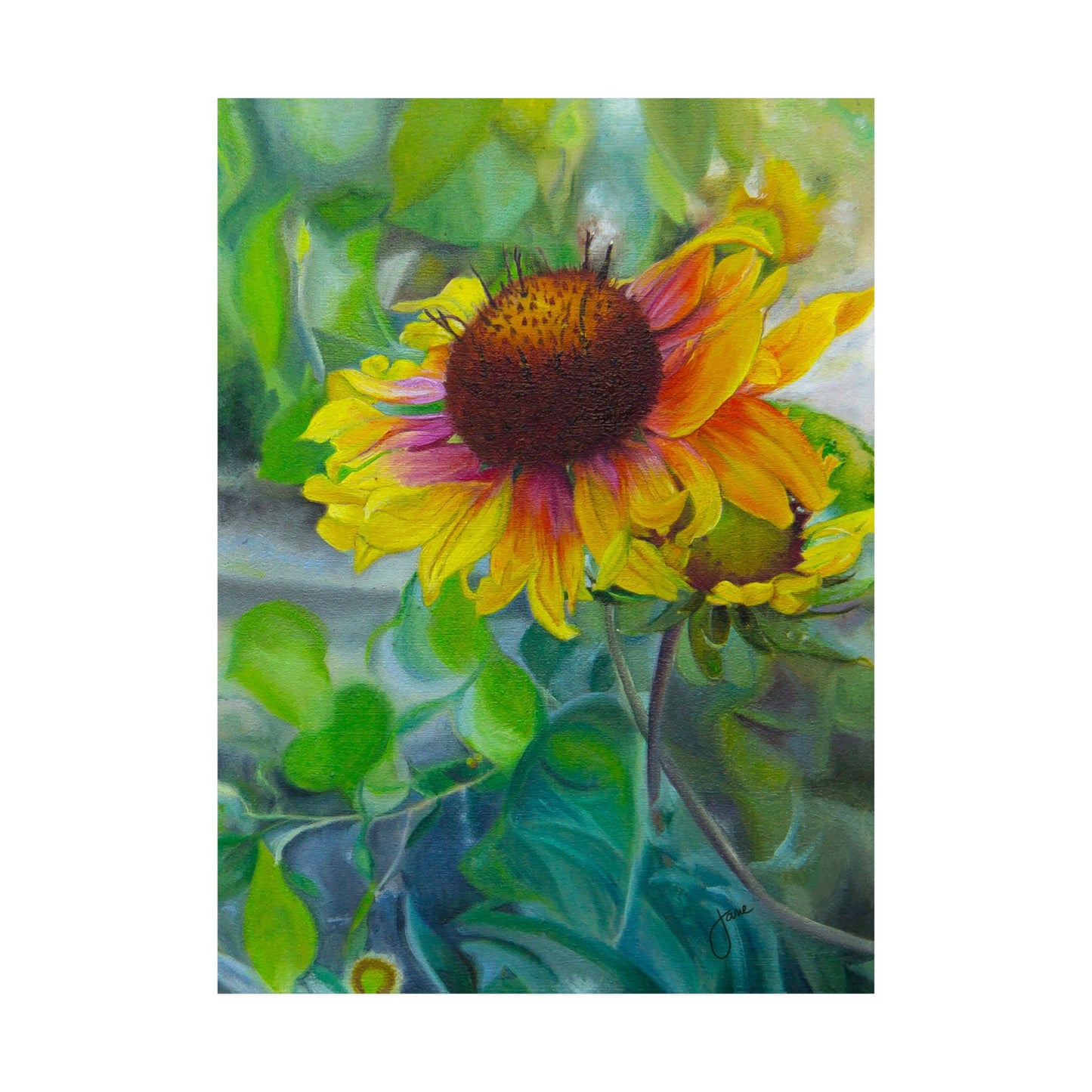 Indian Blanket Flower by Jane Autry, Premium Matte Paper Print