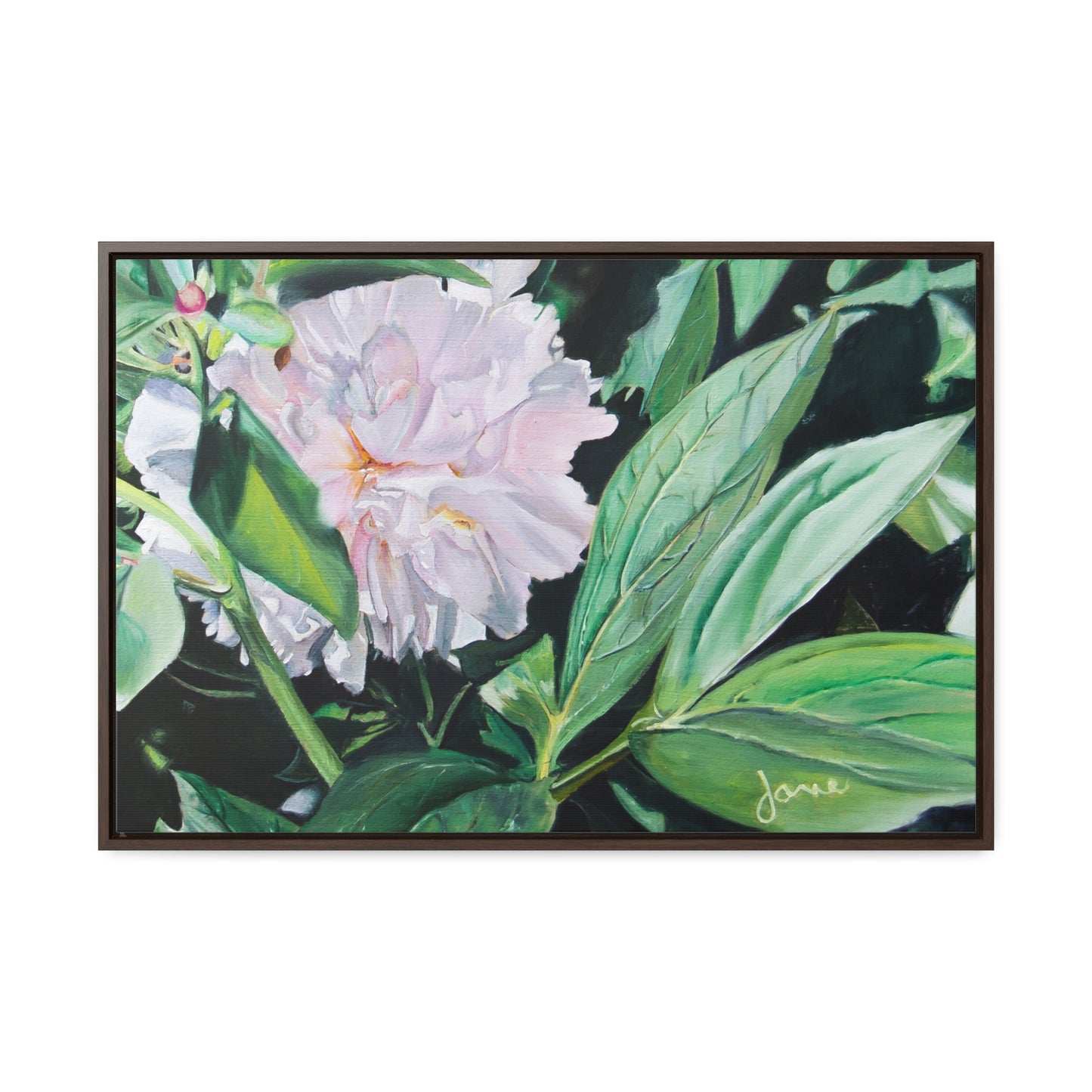 Stretched Canvas Wrap in Wood Frame, Shy Peone by Jane Autry
