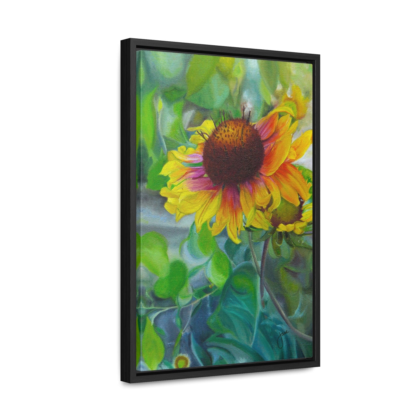 Indian Blanket Flower by Jane Autry, Canvas Gallery Wrap