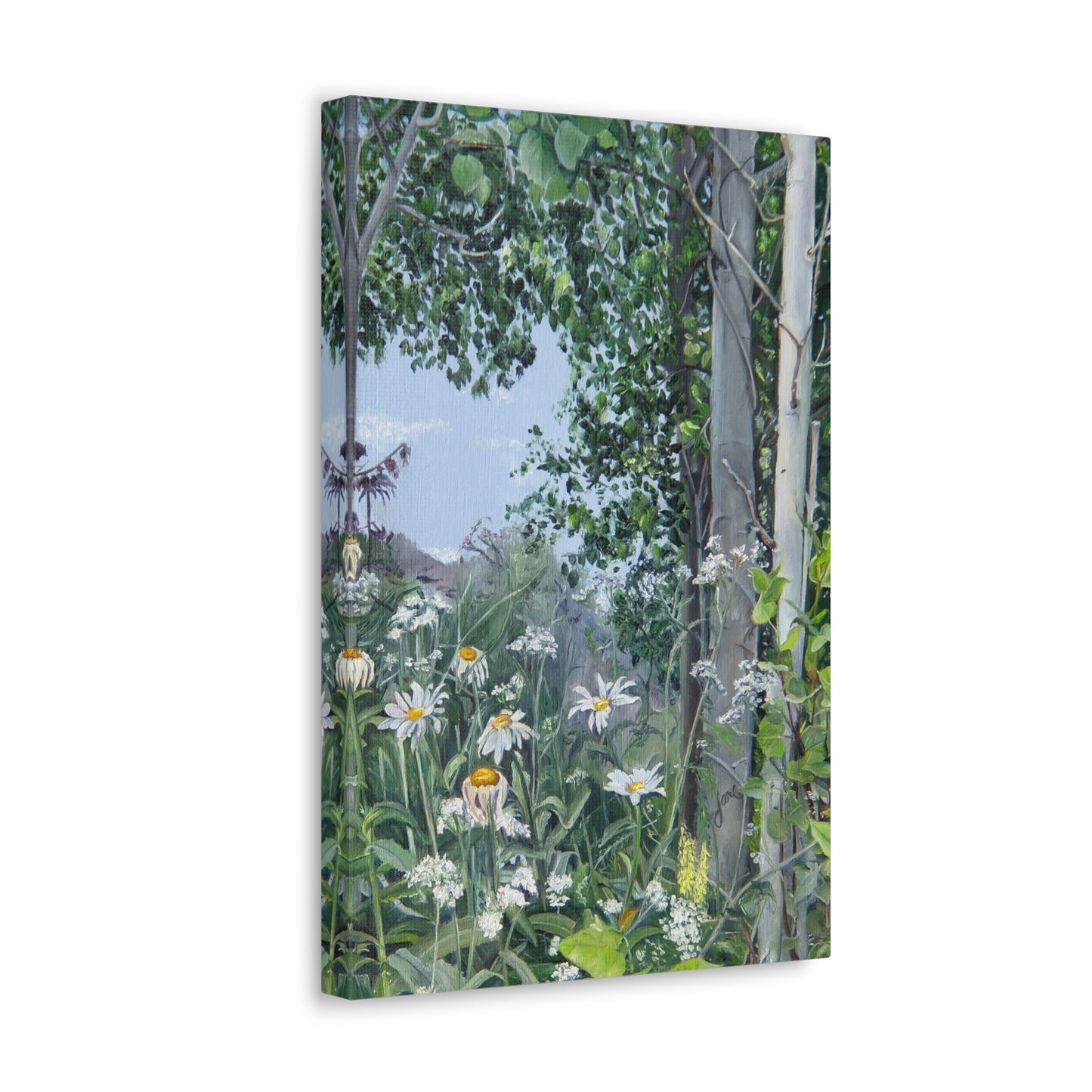 Quakies and Daisies by Jane Autry, Canvas Gallery Wrap