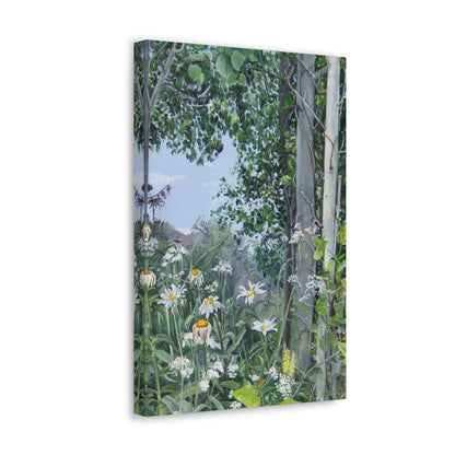 Quakies and Daisies by Jane Autry, Canvas Gallery Wrap