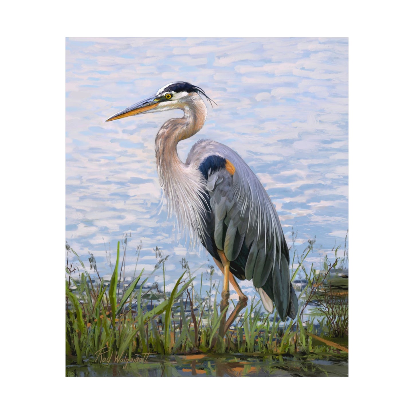 Premium Matte Print, Blue Heron at Stansbury Lake, by Rod Walgamott