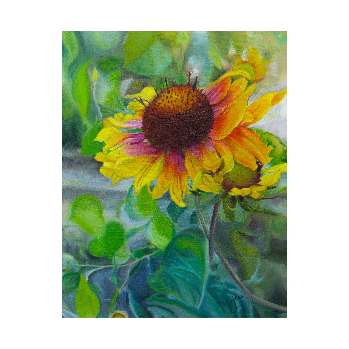 Indian Blanket Flower by Jane Autry, Premium Matte Paper Print
