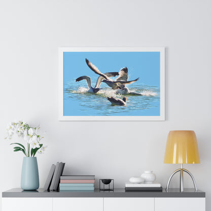 Framed Matte Print, Gull Fight on Stansbury Lake, by Rod Walgamott