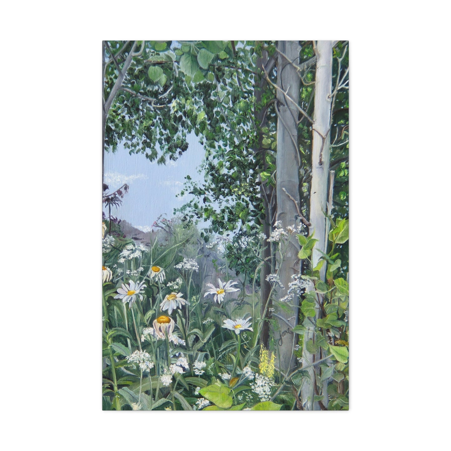 Quakies and Daisies by Jane Autry, Canvas Gallery Wrap