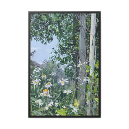 Quakies and Daisies by Jane Autry, Canvas Gallery Wrap