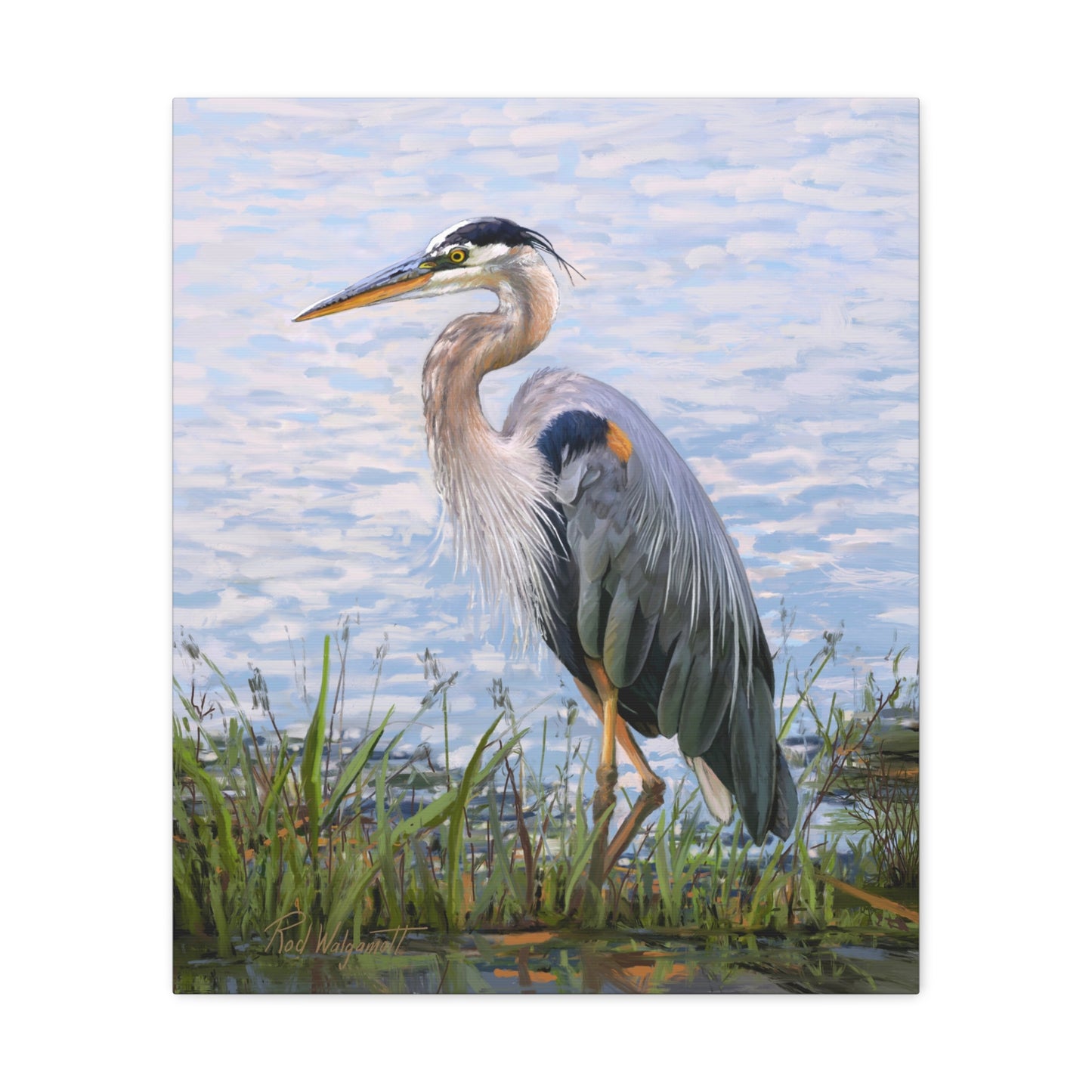 Gallery Wrap Canvas, Blue Heron at Stansbury Lake by Rod Walgamott